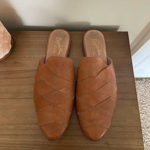 Seychelles Brown Survival Mules